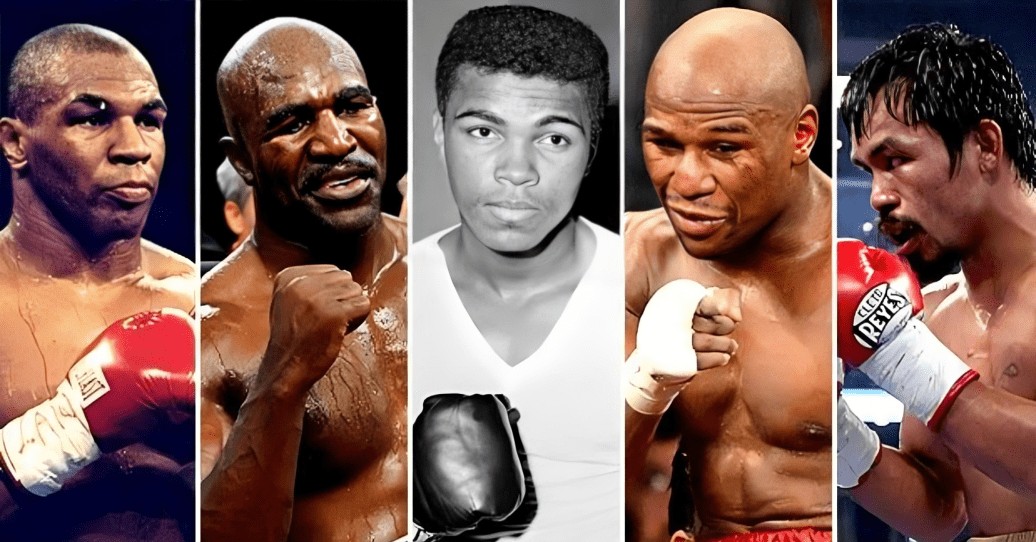 World Best Boxers